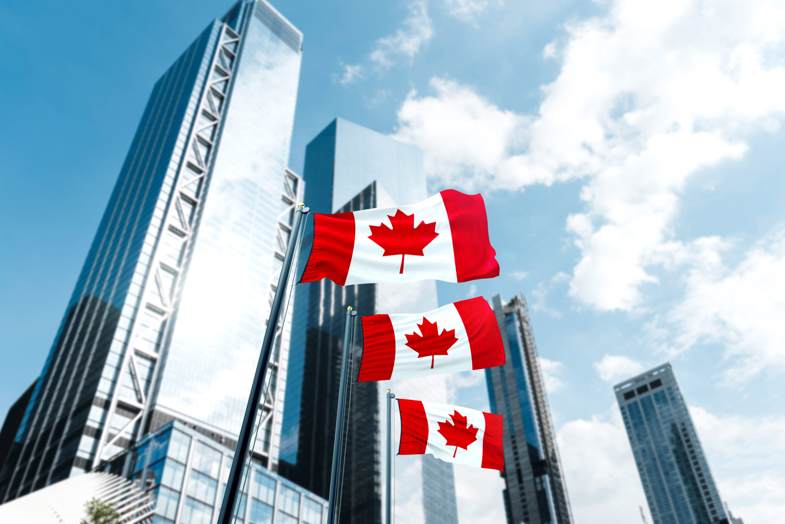 startup visa program canada